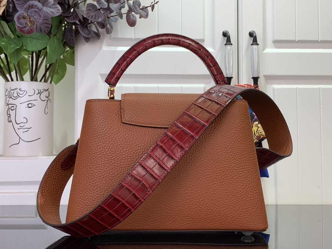 LV Capucines Small Handbag