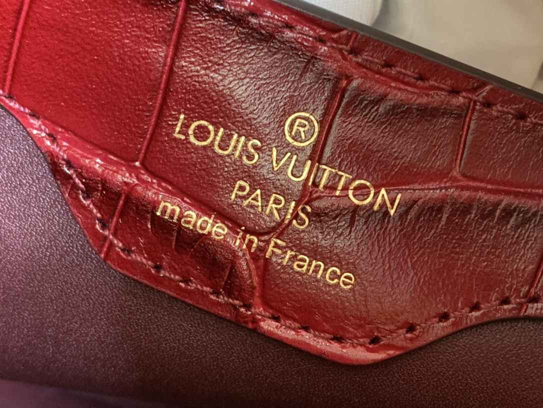 LV Capucines Small Handbag