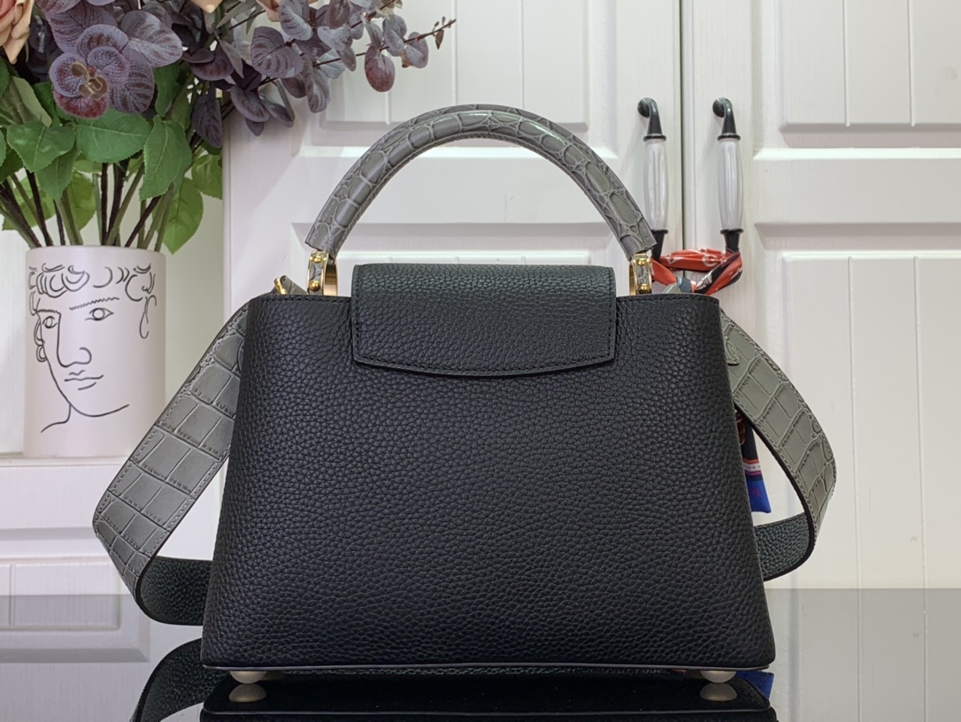 LV Capucines Small Handbag