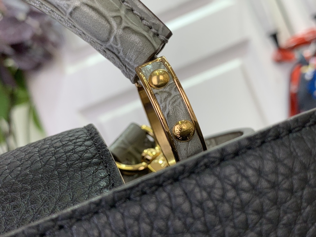 LV Capucines Small Handbag