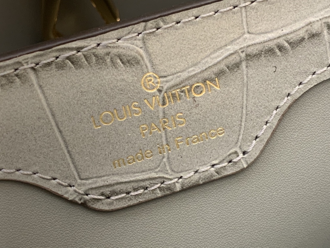 LV Capucines Small Handbag