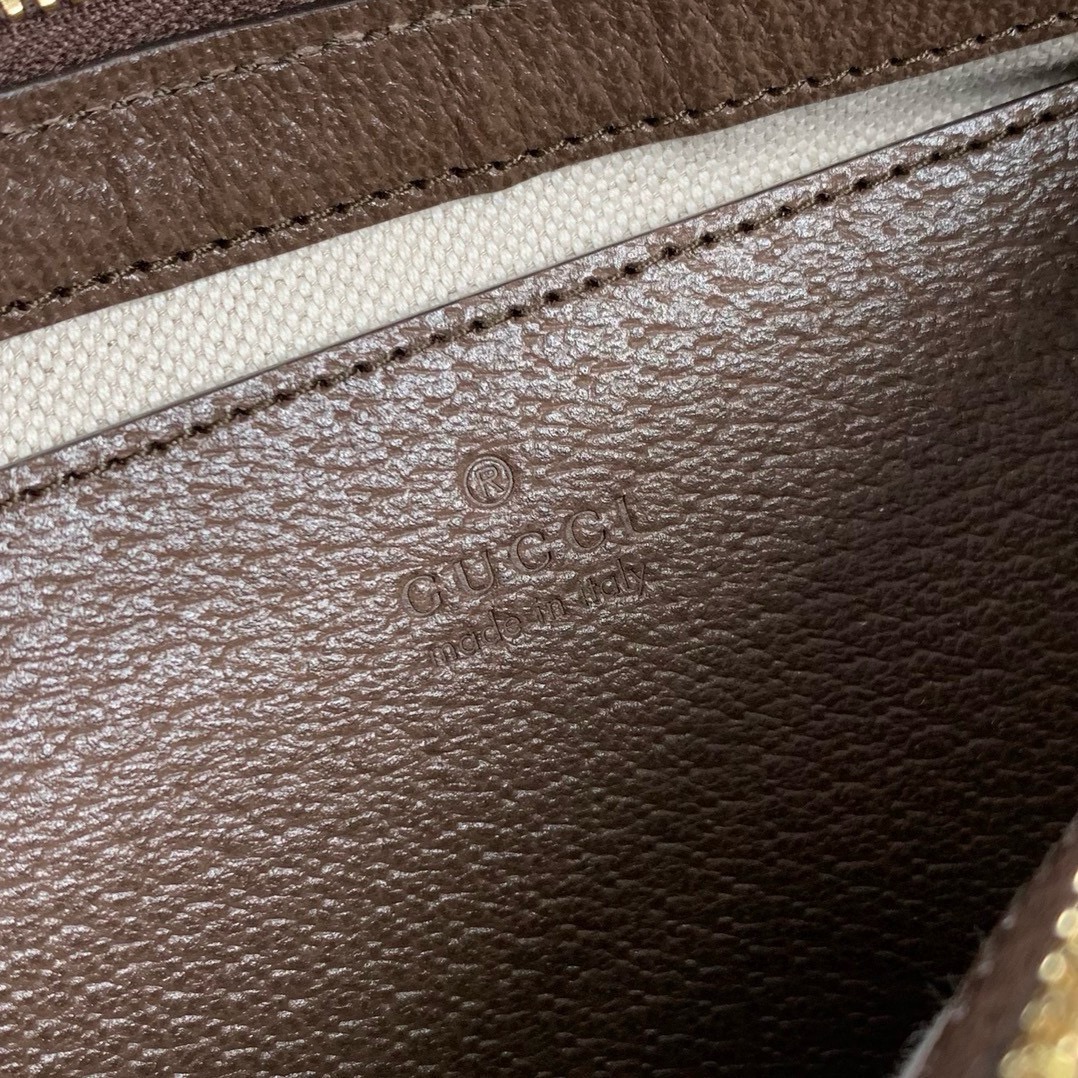 Gucci Ophidia series small handbag